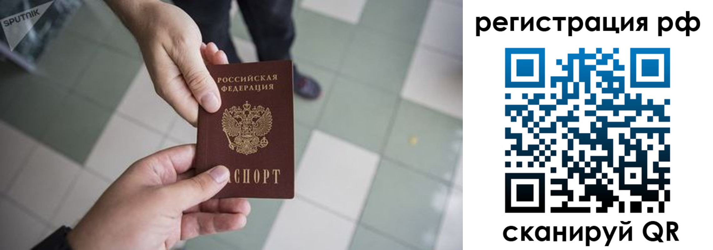 прописка гарантия в Коломне